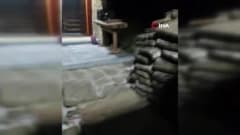 Bartın Ulus ilçesinde evinin bahçesine gelen tilkiyi ekmekle besleyen İsmail Yılmaz