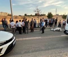 Batman Balpınar beldesinde hafif ticari aracın yola çıkan eşeğe çarpması sonucu meydana gelen kaza