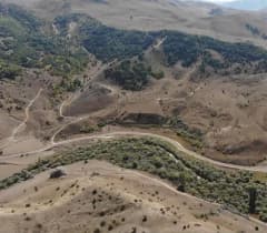 Bayburt’ta ağaçlandırma ve erozyon kontrolü için fidan dikimi yapılan alan