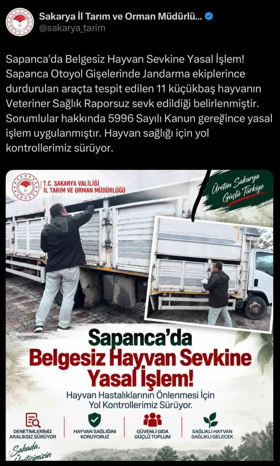 Sapanca ilçesinde jandarma ekiplerince durdurulan kamyonette 11 küçükbaş hayvanın Veteriner Sağlık Raporu olmadan sevk e