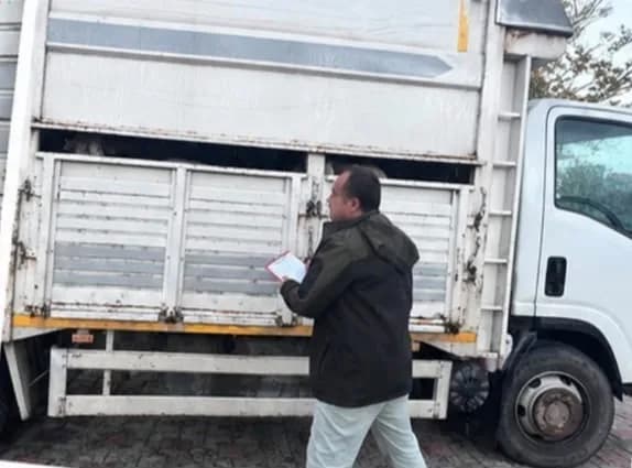 Sakarya Sapanca'da jandarma ekipleri tarafından durdurulan kamyonetteki küçükbaş hayvanlar