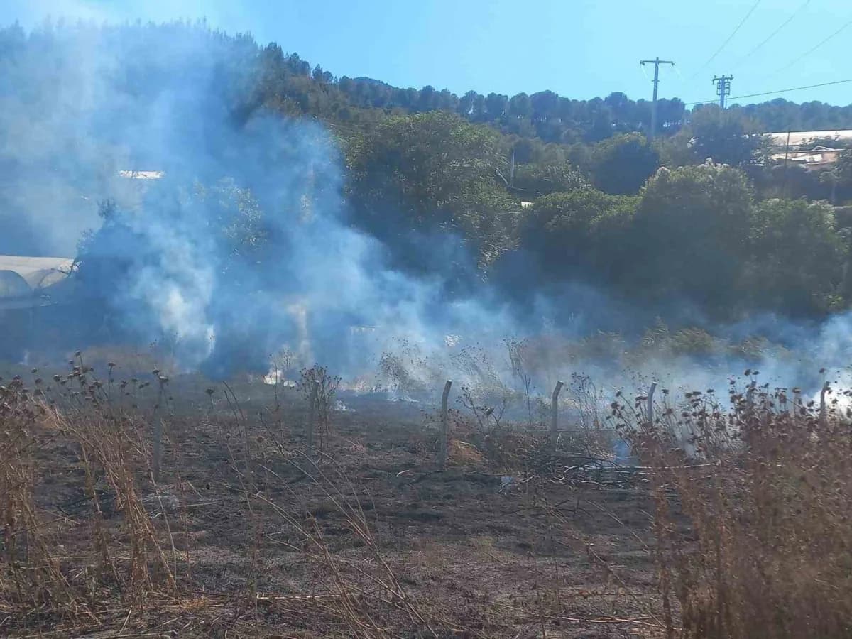 Bilecik’te meydana gelen yangında bir sera hasat gördü