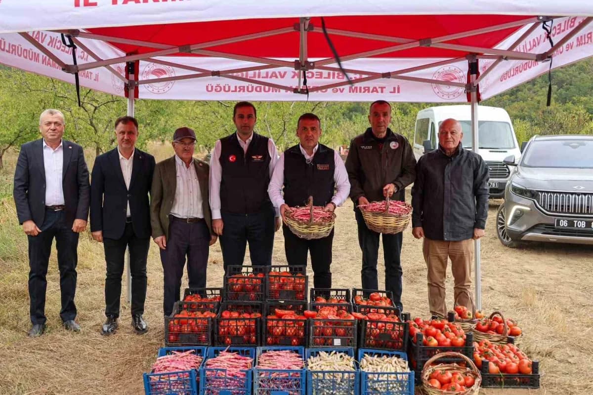 Bilecik'te her yıl 4 bin 500 ton taze barbunya hasadı yapılıyor