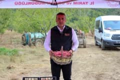 Bilecik Osmaneli Oğulpaşa Köyü'nde taze barbunya hasadı yapan çiftçiler