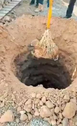 Bingöl’de 10 metrelik çukurda mahsur kalan sokak köpeği, AFAD ekiplerinin müdahalesiyle bulunduğu yerden kurtarıldı