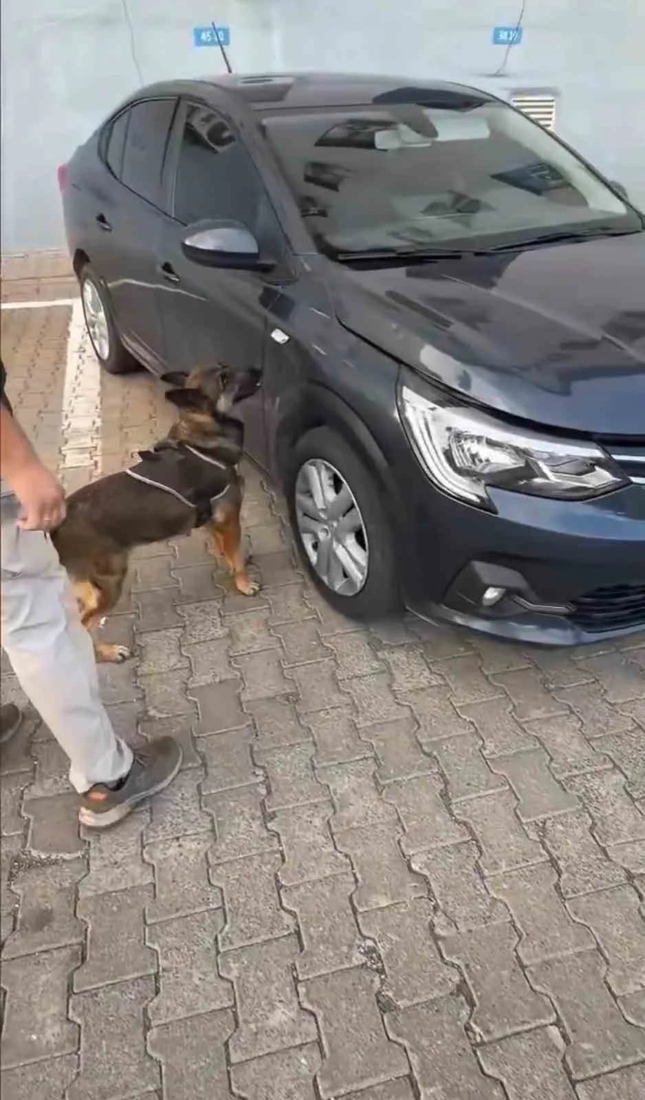 Bingöl'de bir otomobilin motor bölümüne gizlenmiş 1 kilo 348 gram esrar ele geçirildi. Olayla ilgili 3 şüpheli tutukland