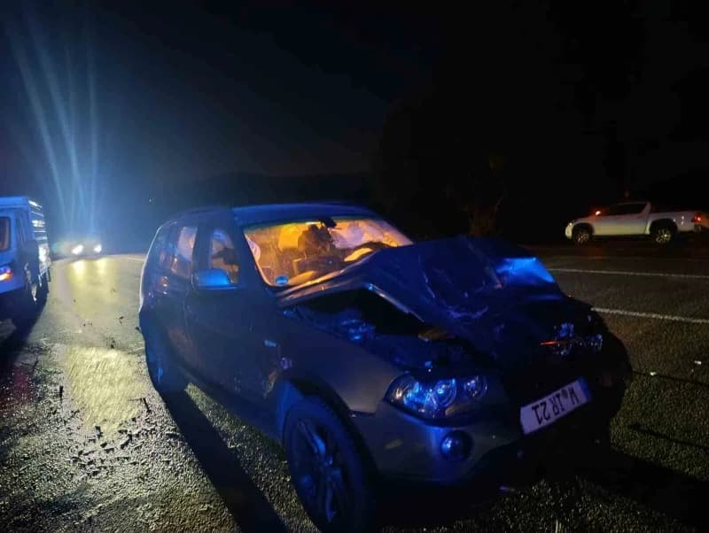 Bingöl-Karlıova karayolunda otomobilin ata çarpması sonucu meydana gelen trafik kazası