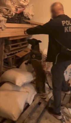 Bingöl’de polis ekiplerinin uyuşturucu operasyonu sırasında ele geçirilen esrar maddesi