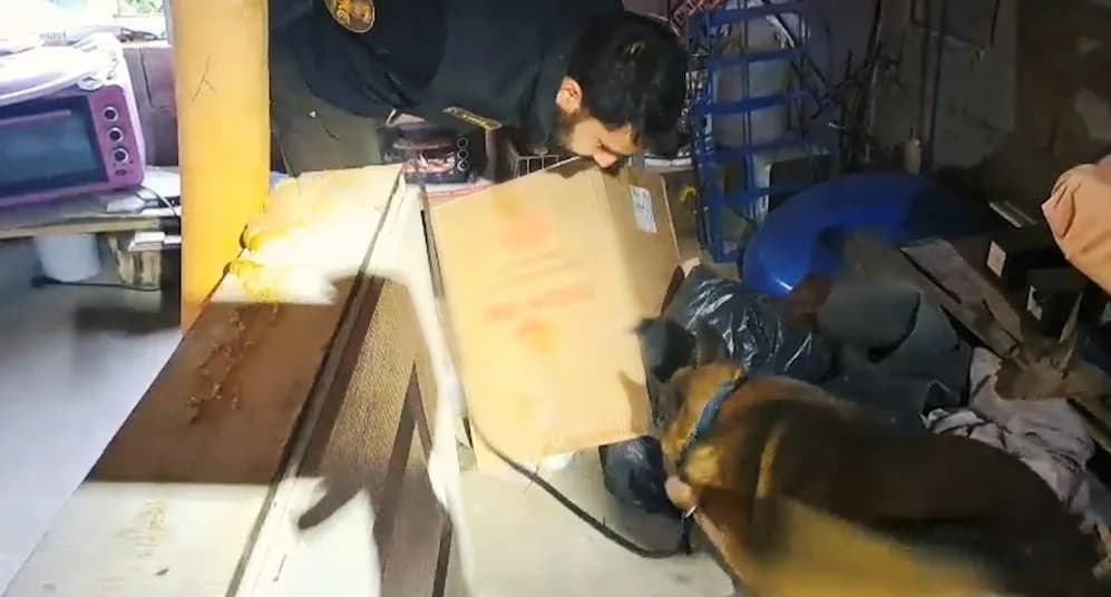 Bitlis’te uyuşturucu madde ticaretine yönelik düzenlenen operasyonda 9 kilo 45 gram esrar ile birlikte ruhsatsız silah v