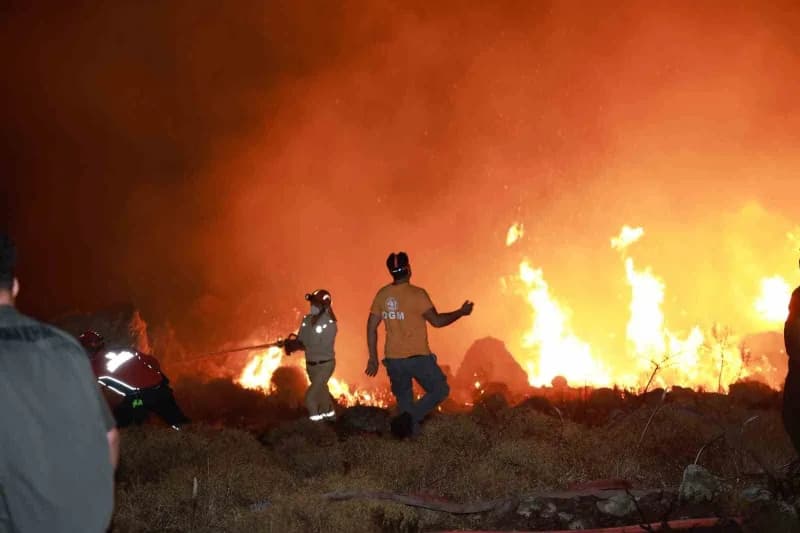 Bodrum'da makilik alanda yangın: "Alevler rüzgarla hızla yayıldı"