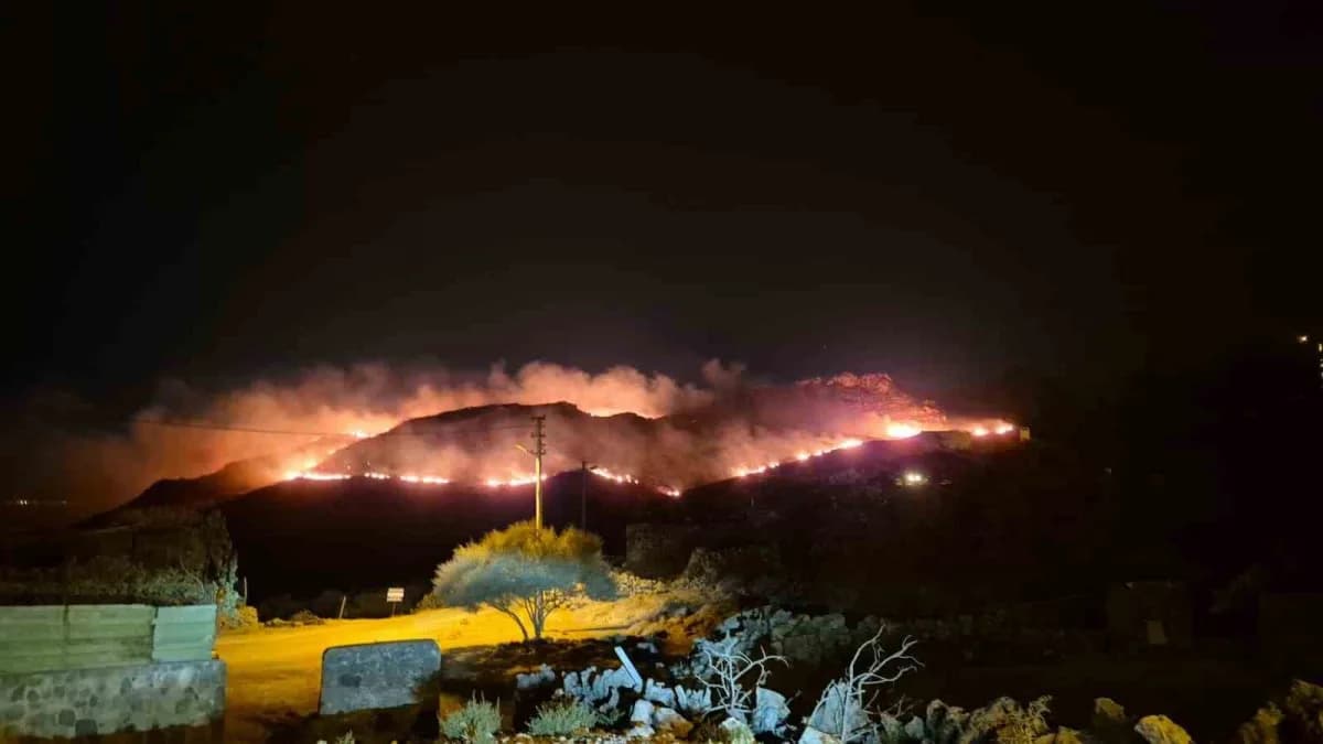 Muğla Bodrum’da otluk ve makilik alanda çıkan yangına müdahale eden itfaiye ve orman ekipleri