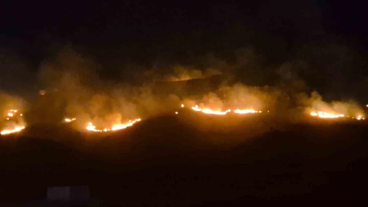 Muğla'nın Bodrum ilçesinde geniş bir alanda etkili olan yangın, ekiplerin yoğun çabası sonucu kontrol altına alındı.