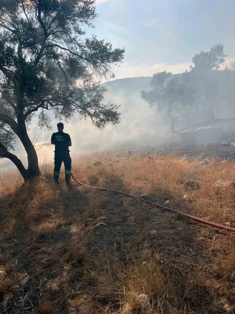 Muğla Bodrum-Milas karayolu Kemikler Mahallesi yakınlarında ekiplerin müdahalesiyle söndürülen ot yangını