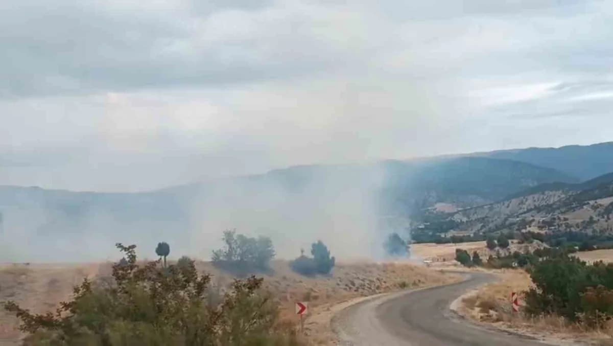Bolu’nun Seben ilçesinde boş arazide çıkan yangın, ormanlık alana ve hidroelektrik santrallerine ulaşmadan söndürüldü. Y