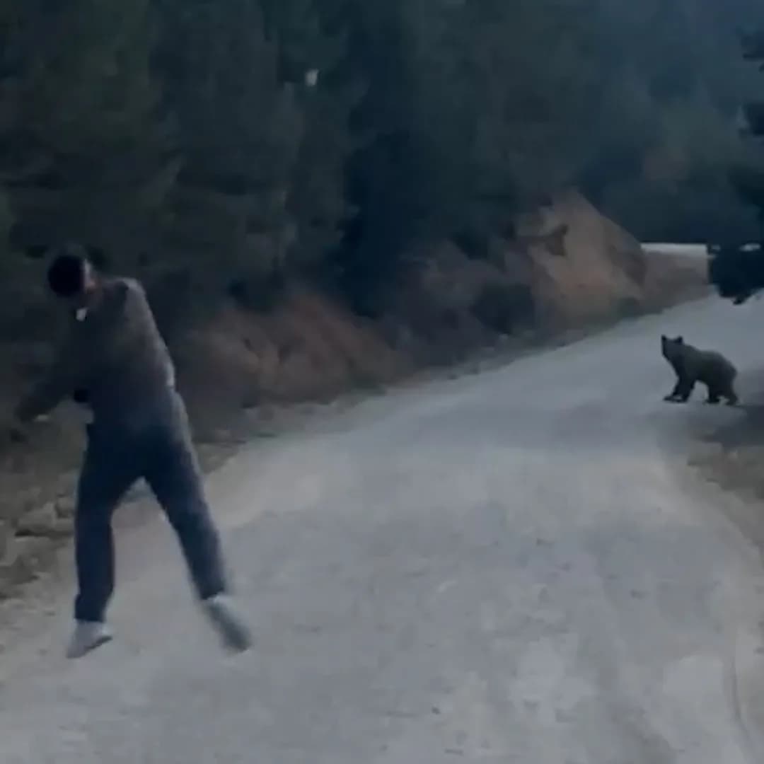 Bolu Mudurnu ormanlık alanda ayı ile karşılaşan grup taşla ayıyı kovalıyor