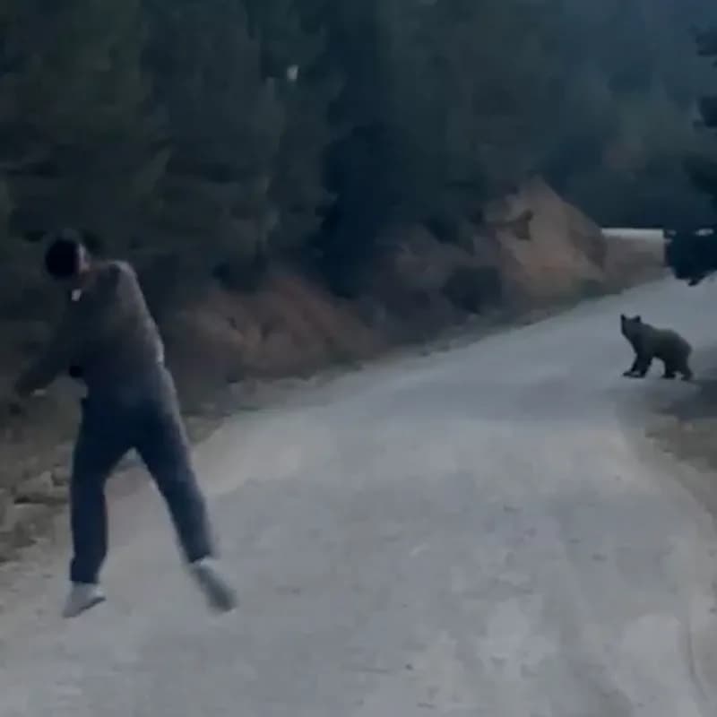 Bolu Mudurnu ormanlık alanda ayı ile karşılaşan grup taşla ayıyı kovalıyor