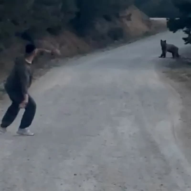 Sonrasında grubun içerisinden bir vatandaş ayıyı taş atarak kovaladı. Üzerine koşan vatandaşı gören ayı ise ormanlık ala