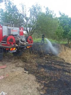 Bolu Gerede ilçesinde elektrik tellerine çarpan kuş nedeniyle çıkan anız yangınına müdahale eden itfaiye ekipleri