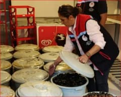 Bolu’da jandarma ekipleri tarafından ele geçirilen kaçak midyeler