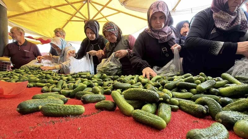 Bolu semt pazarında kışlık yiyecek hazırlığı için salçalık domates ve kapya biber tezgahları