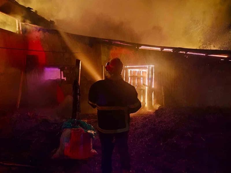 Bolu'nun Mudurnu ilçesinde içerisinde tavuk bulunmayan ancak saman balyalarıyla dolu olan kümes alev alev yandı. Yangın,