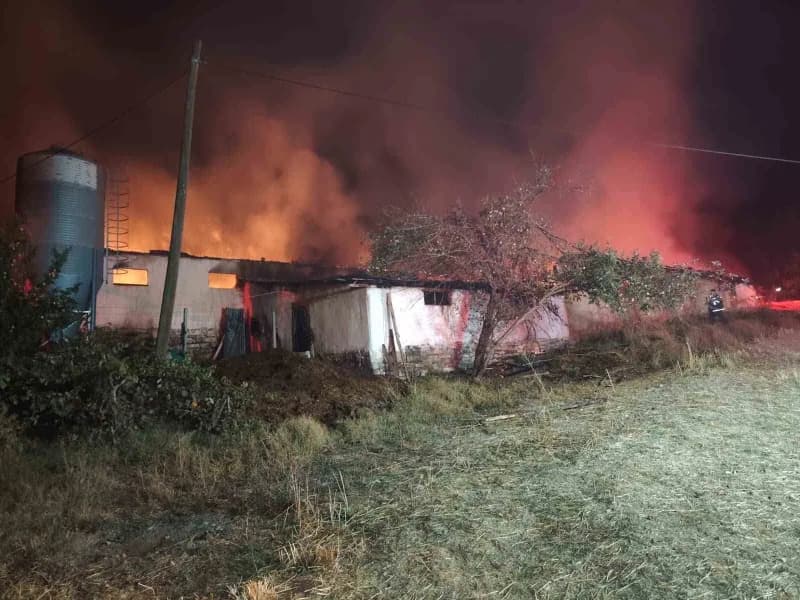 Bolu'nun Mudurnu ilçesinde içerisinde tavuk bulunmayan ancak saman balyalarıyla dolu olan kümes alev alev yandı. Yangın,