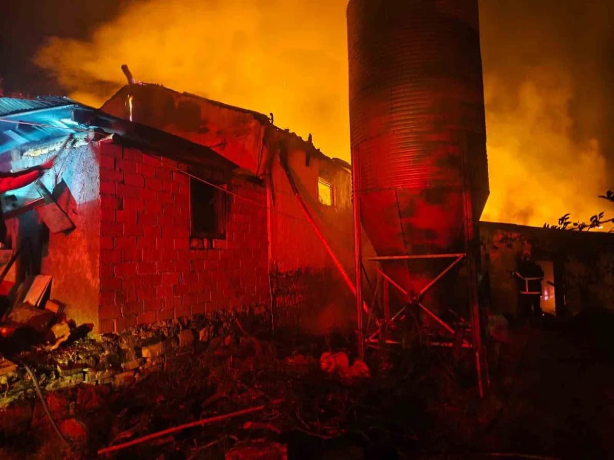 Bolu'nun Mudurnu ilçesinde içerisinde tavuk bulunmayan ancak saman balyalarıyla dolu olan kümes alev alev yandı. Yangın,