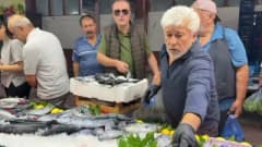 Bolu balık pazarında palamut balıklarının tezgah üzerinde sergilenmesi