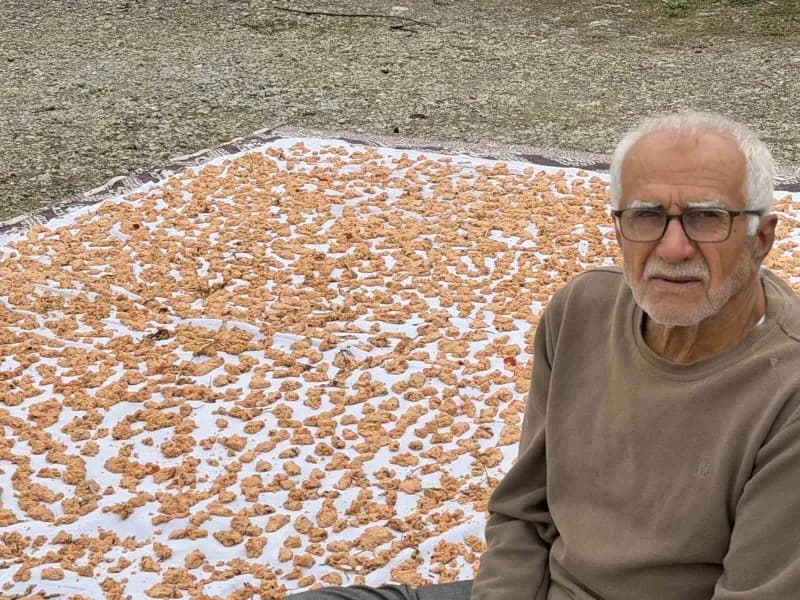 Boyabat ilçesinde kış aylarının yaklaşmasıyla birlikte geleneksel tarhana hazırlıkları başladı.