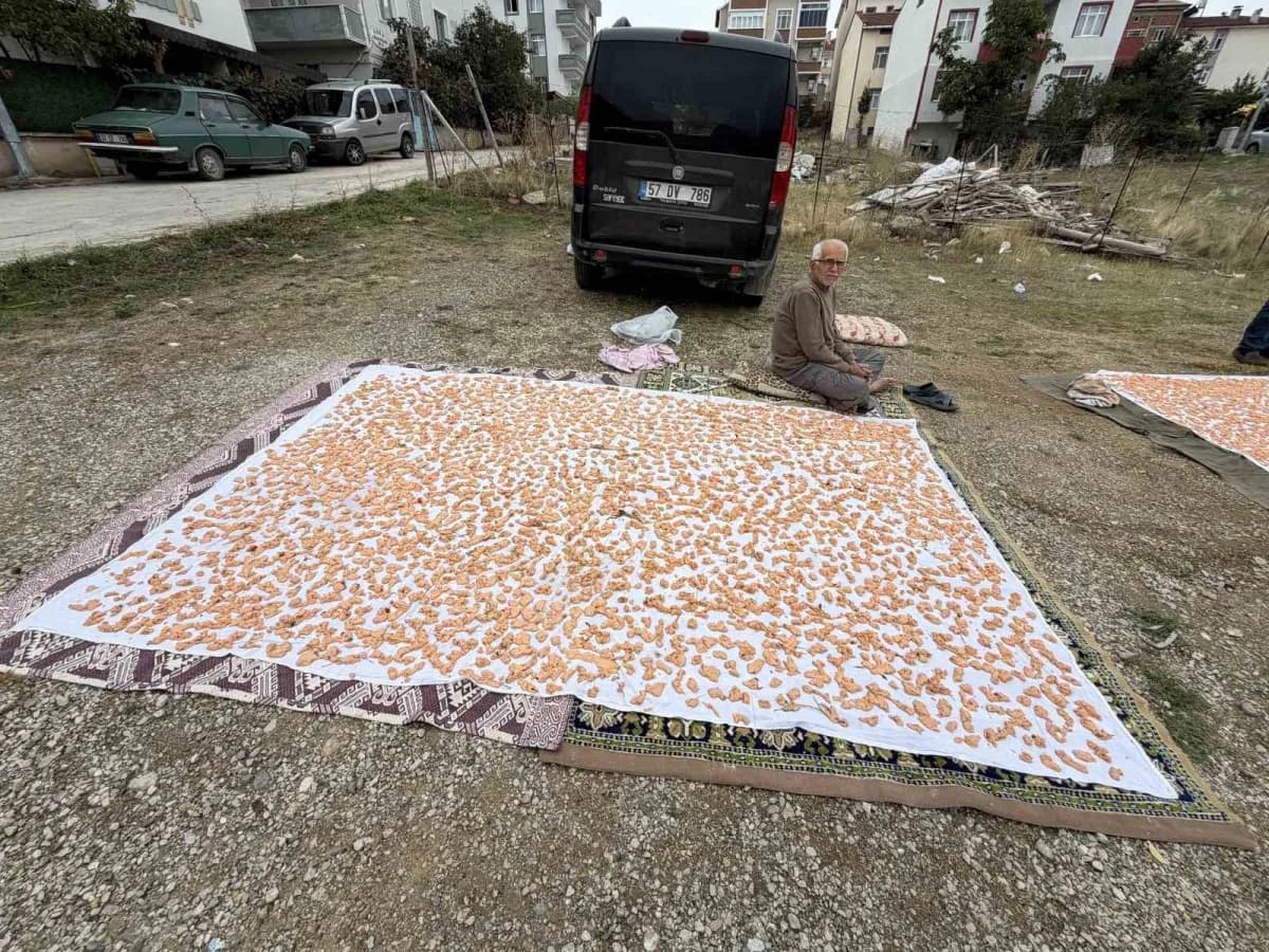 Boyabat ilçesinde kış aylarının yaklaşmasıyla birlikte geleneksel tarhana hazırlıkları başladı.