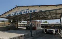 Burdur Canlı Hayvan Pazarı girişinde şap hastalığı nedeniyle kapatma uyarısı