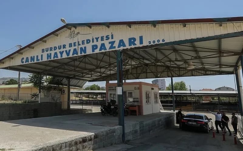 Burdur Canlı Hayvan Pazarı girişinde şap hastalığı nedeniyle kapatma uyarısı