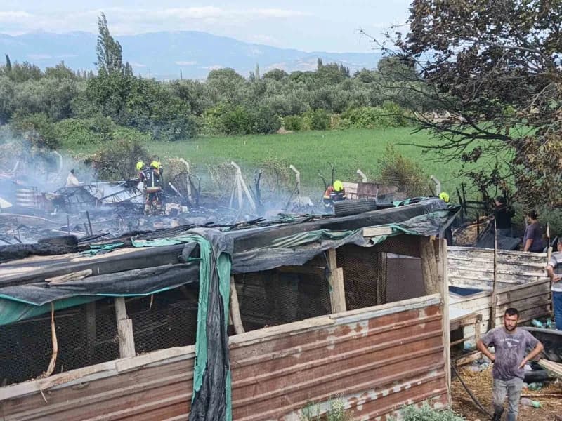 Burhaniye Memiş Mahallesi'nde çıkan ahır ve katı atık yangınına müdahale eden itfaiye ekipleri
