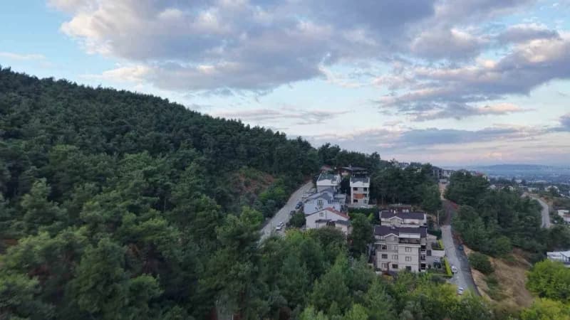 Bursa Nilüfer Çalı Mahallesi yakınlarında orman kenarında görülen 3 ayı ve mahalle çevresi