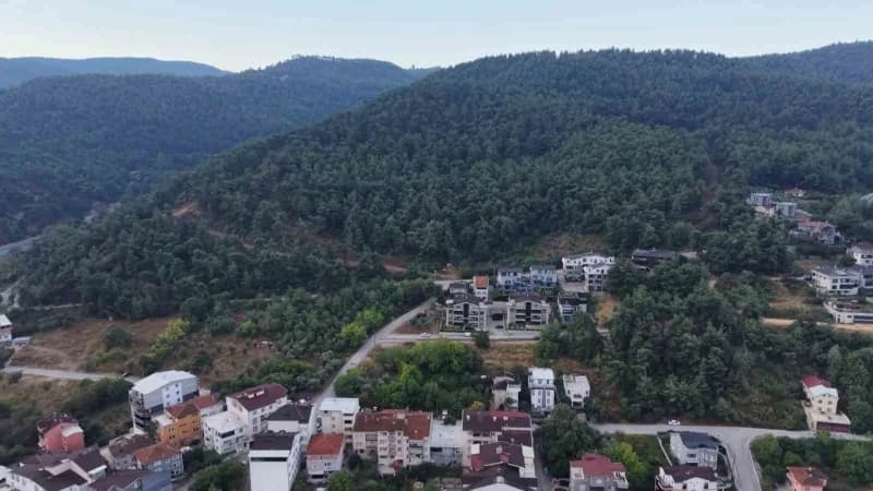 Bursa’nın Nilüfer ilçesine bağlı Çalı Mahallesi’nde, yerleşim alanına yakın bölgede 3 ayının görüldüğü bildirildi.