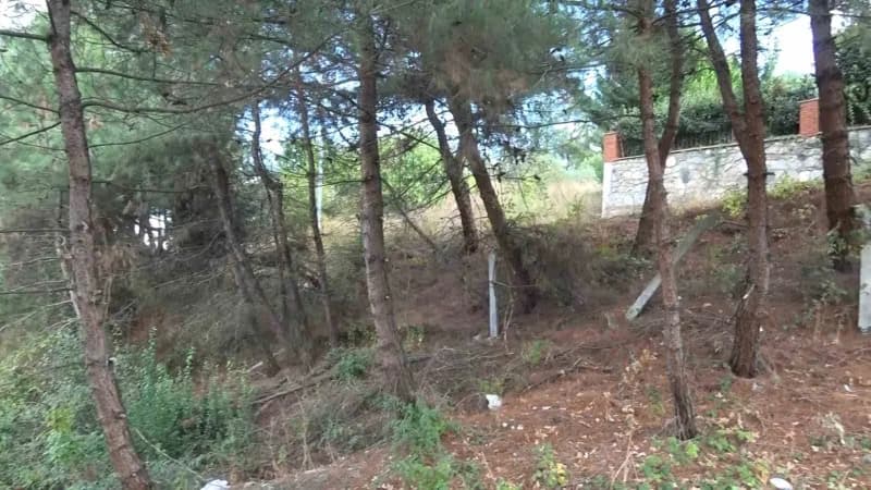 Bursa’nın Nilüfer ilçesine bağlı Çalı Mahallesi’nde, yerleşim alanına yakın bölgede 3 ayının görüldüğü bildirildi.