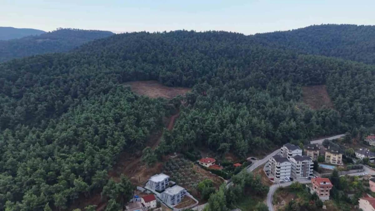 Bursa’nın Nilüfer ilçesine bağlı Çalı Mahallesi’nde, yerleşim alanına yakın bölgede 3 ayının görüldüğü bildirildi.