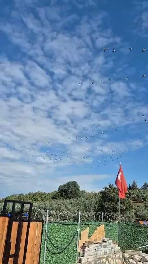 Bursa'nın merkez Nilüfer ilçesinde göç yolculuğuna çıkan leylek sürüsü, Ayvaköy mevkiinden geçerken gökyüzünde görsel şö
