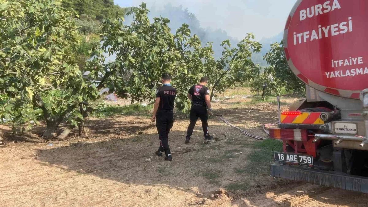 Bursa'nın Mudanya ilçesi ormanlık alanda yakılan ateşin çevredeki kuru ot ve ağaçları tutuşturmasıyla başlayan yangın, Y