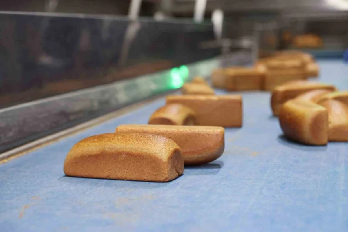 Bursa Büyükşehir Belediyesi siyez buğdayından üretilen ekmek ve üreticilerle tüketiciler
