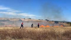 Çanakkale Esenler Mahallesi'nde özel bakım merkezi yakınlarında çıkan ot yangını müdahale eden ekipler
