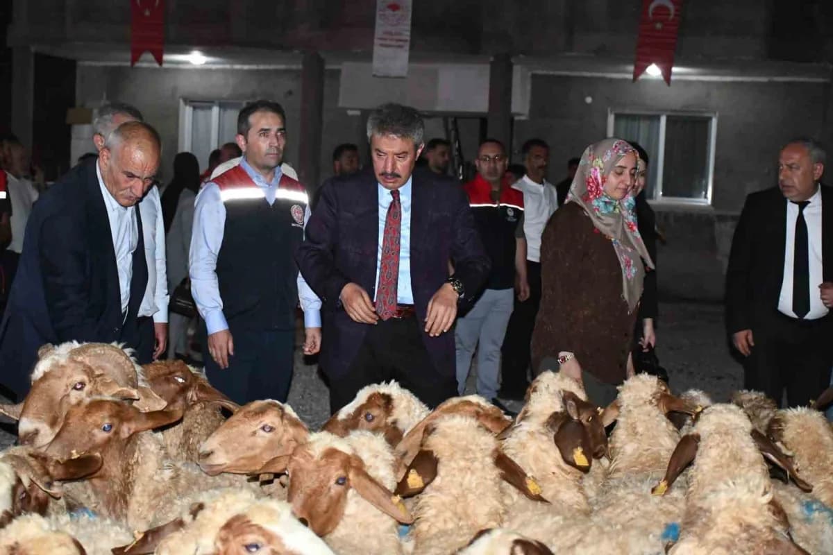 Şırnak Milletvekili Arslan Tatar, Cumhurbaşkanlığı destekleriyle yürütülen "Kırsalda Bereket Küçükbaşa Destek Projesi" k