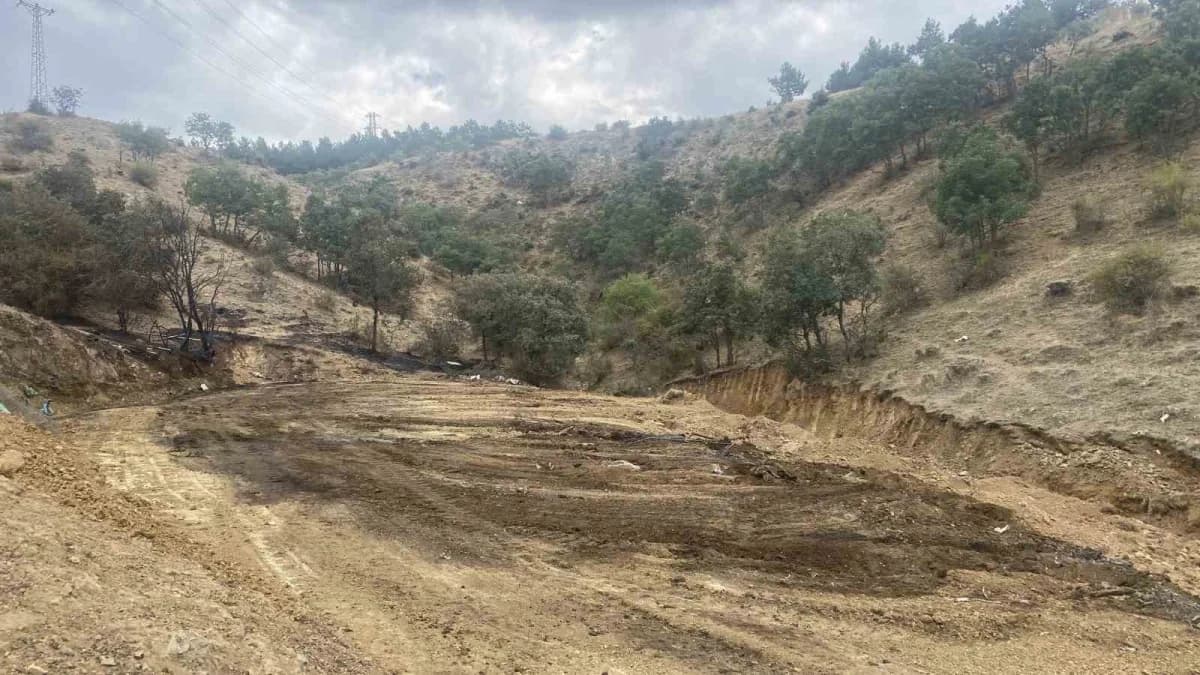 Telef olan küçükbaş hayvanlar iş makinaları yardımıyla toprağa gömüldü