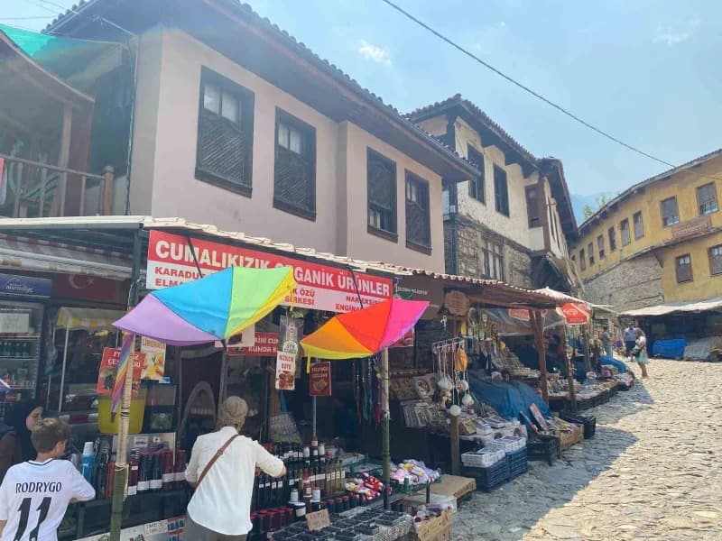 Bursa UNESCO Derneği Cumalıkızık ve Kültürel Miras Komisyonu’nun yaklaşık dört aydır sürdürdüğü çalışmalar, Yıldırım Bel