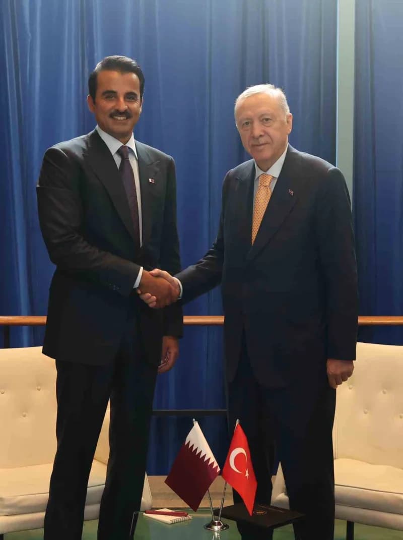 Cumhurbaşkanı Erdoğan, Katar Emiri Al Thani ile görüştü