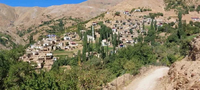 Diyarbakır’ın Çüngüş ilçesi Atalar Mahallesi'nde ata tohumu domates hasadı başladı.