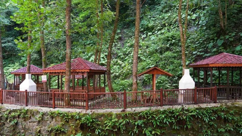 Artvin’de halk arasında "Ormanın yüzüğü" olarak bilinen Delikli Kaya Şelalesi, çevresinde yapılan düzenlemelerle yeni gö