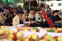 Manisa Demirci Söğütçük Mahallesi’nde düzenlenen 1. Hünnap Festivali etkinliklerinden renkli görüntüler