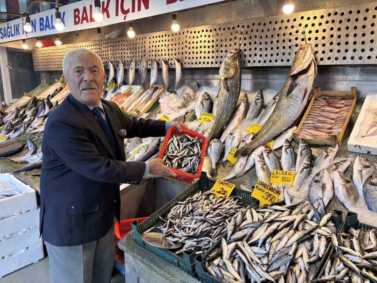 Türkiye Deniz Canlıları Müzesi Kurucusu Balıkçı Kenan Balcı, Palamut, hamsi, istavrit ve sardalyanın bol çıktığını belir