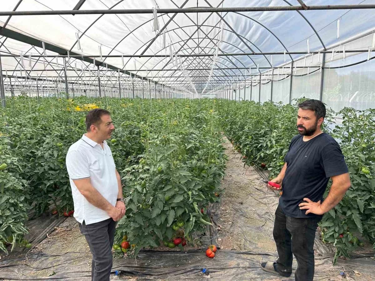 Denizli Ticaret Odası (DTO) Başkanı Uğur Erdoğan, Denizli ekonomisinin geleceğine ilişkin değerlendirmelerde bulunarak,